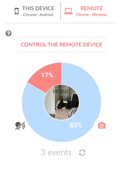 Live video connection to your dog