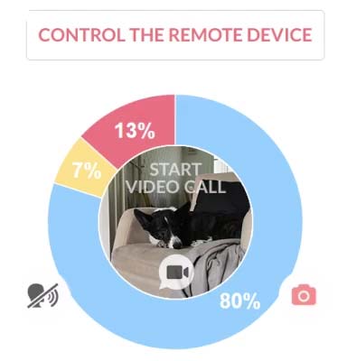 Remote view